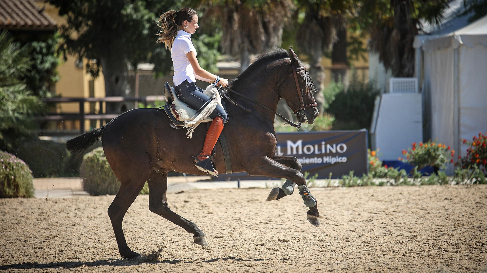 Imágenes de la XVI Copa de S.M. el Rey de Doma Vaquera