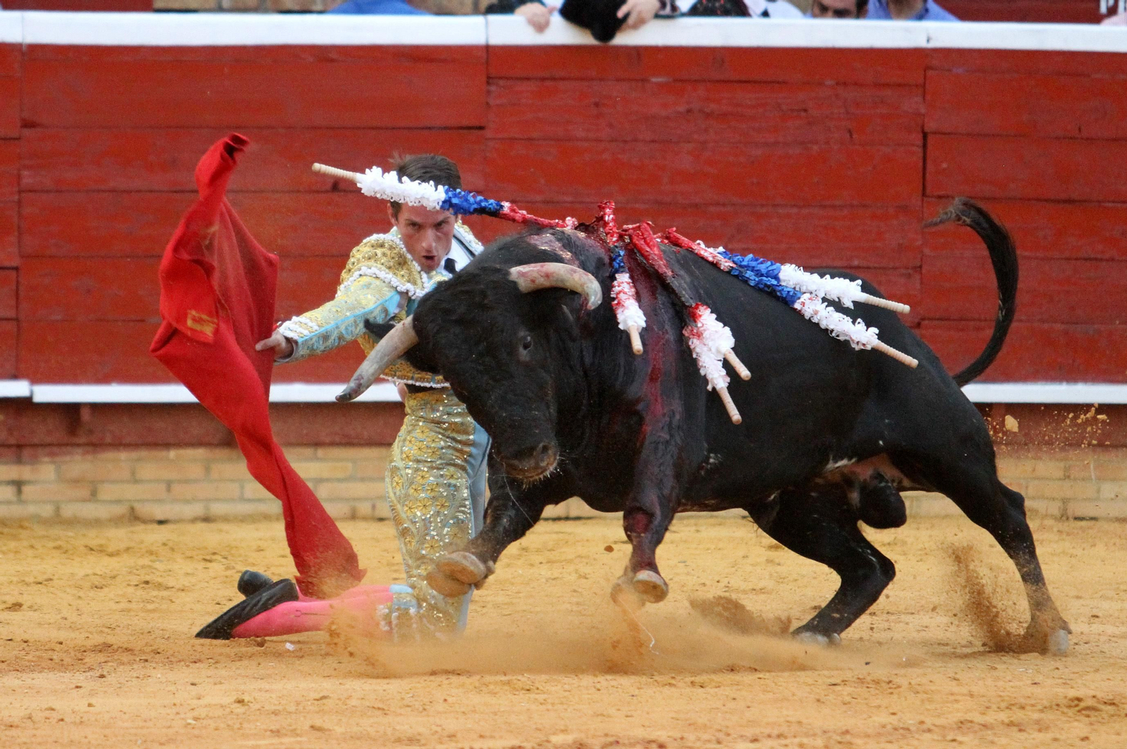 Faena de Alfonso Cadaval en la Plaza de toros La Merced