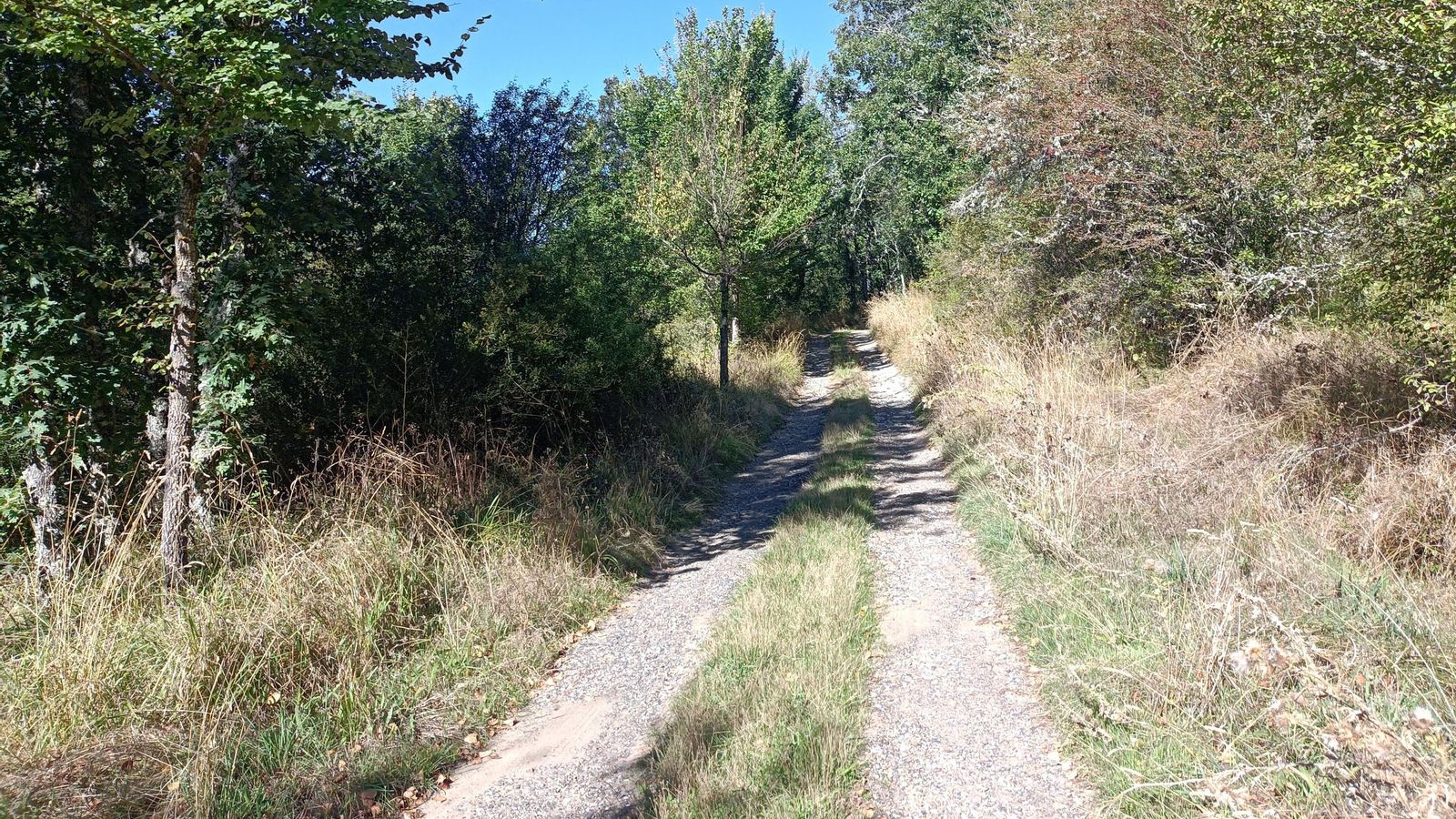 Avance por la Solana tras la Cota