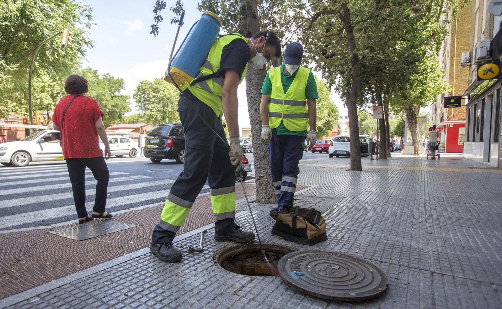 Dos operarios realizan tareas de control de plagas en las calles de Huelva.