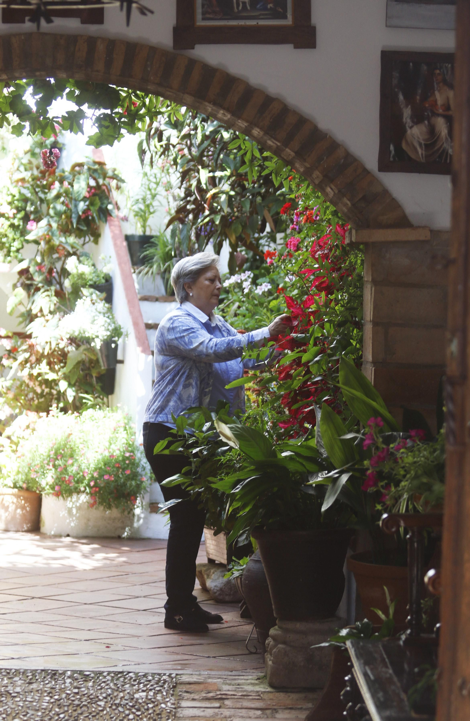 Las fotos de los Patios de Córdoba en este atípico mes de mayo