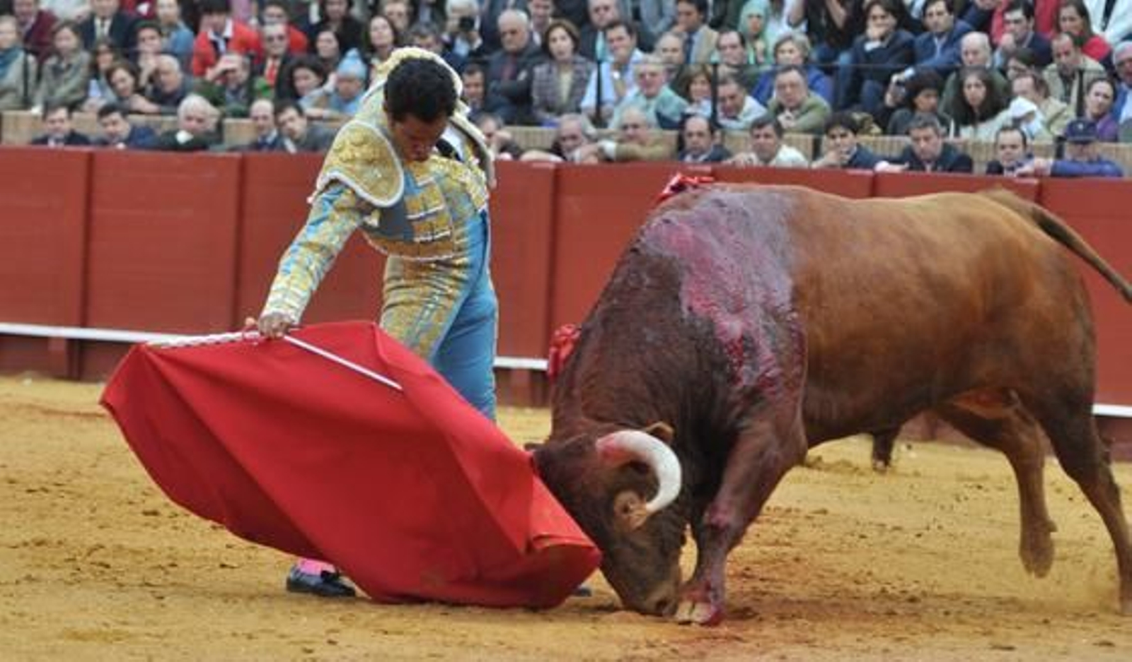 Luis Bolívar, en un derechazo al segundo, noble pero flojísimo.

Foto: Manuel Gómez