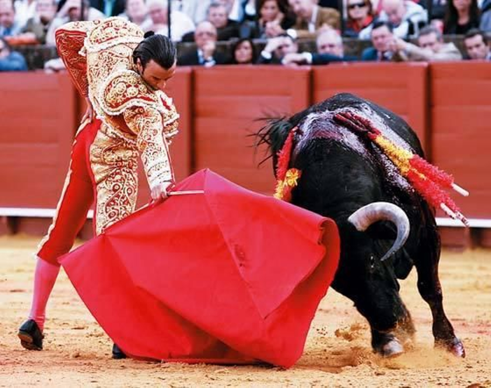 Finito de Córdoba: Un habitual en el abono