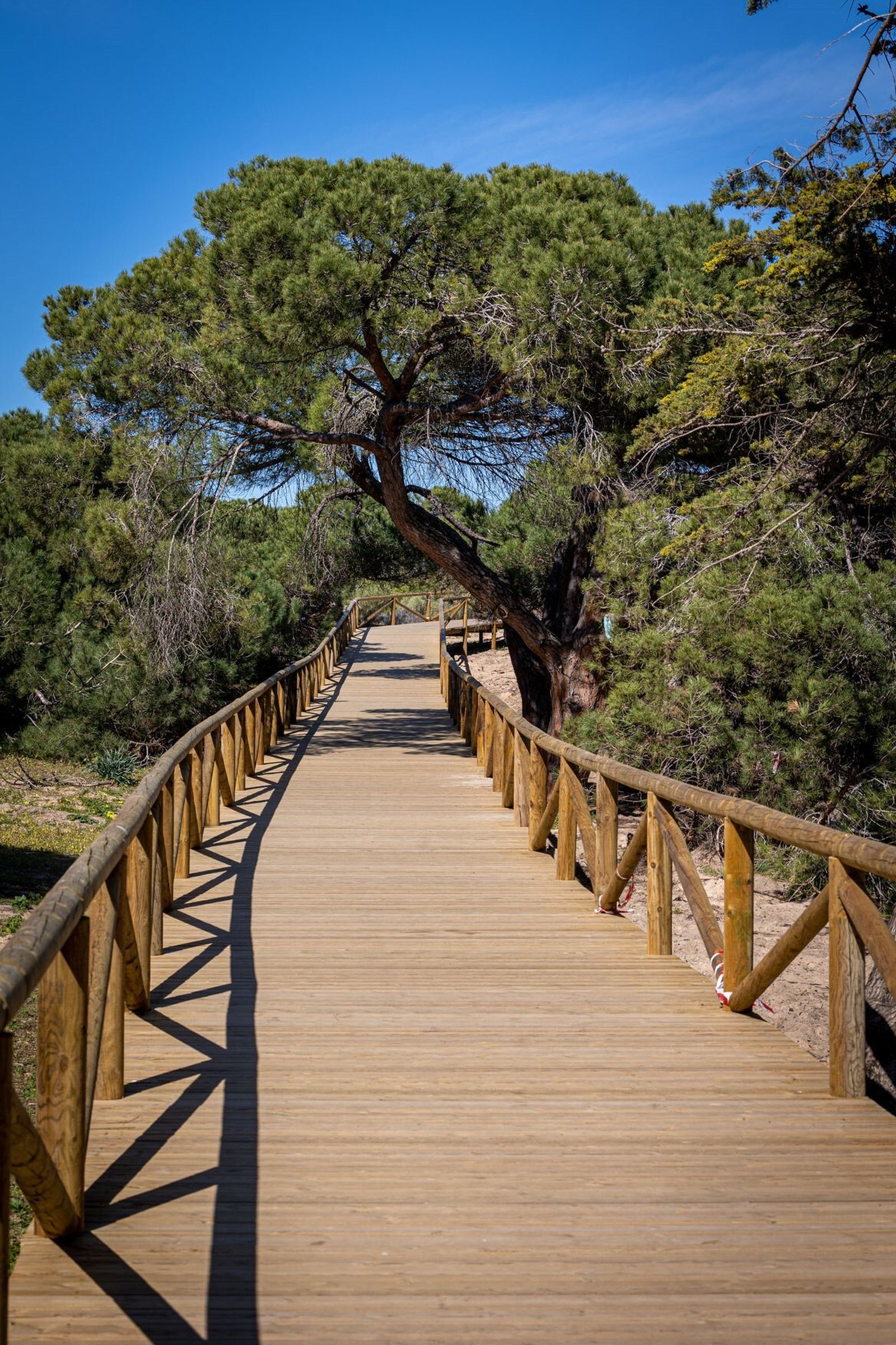 Las fotos del nuevo paseo litoral de El Puerto
