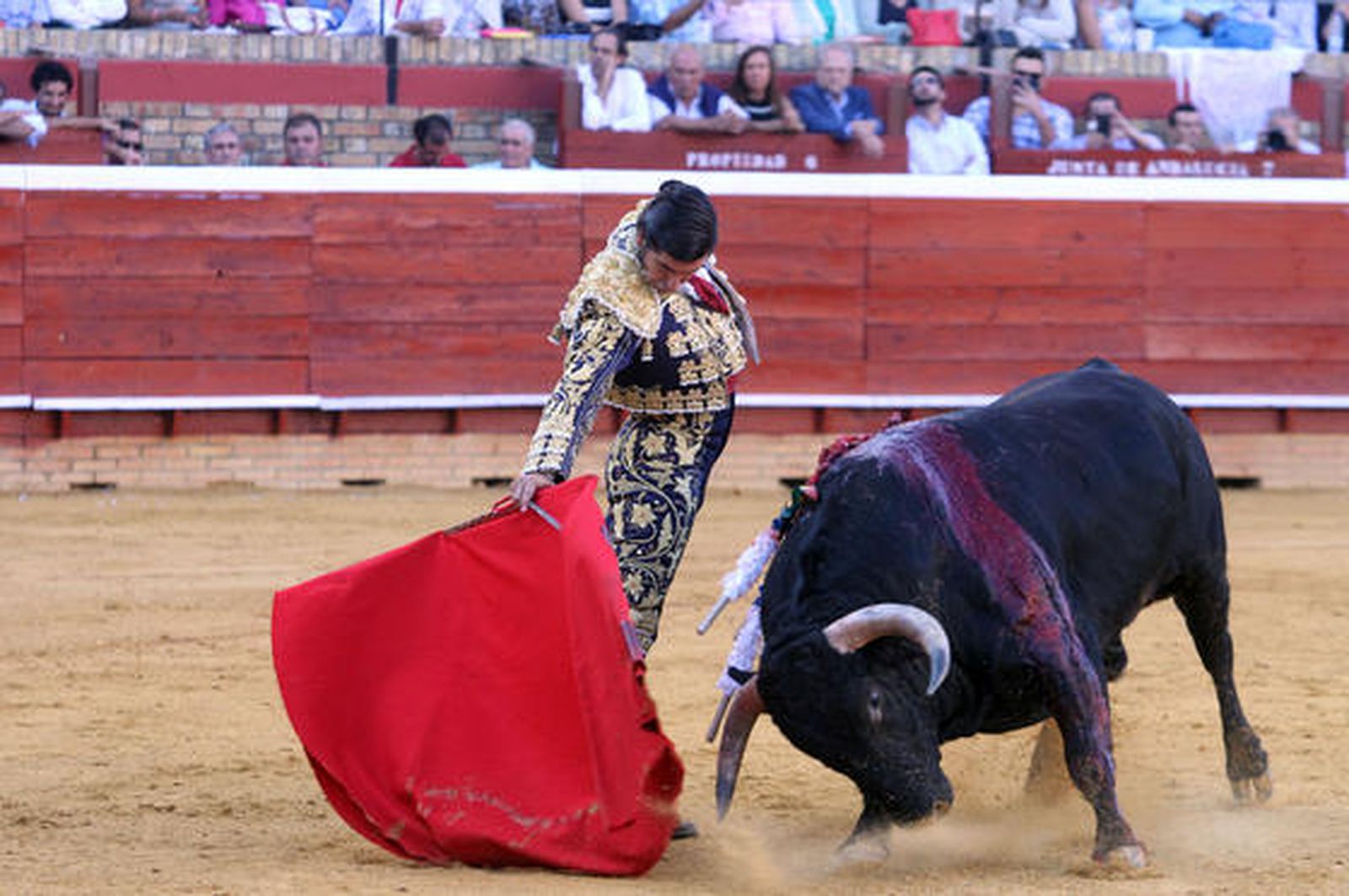 Foto: Alberto Domínguez