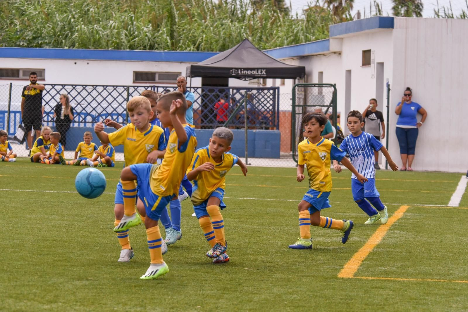 El Atlético Zabal derrota a los vándalos