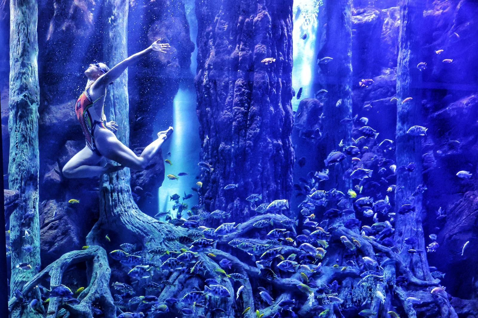 Espectáculo de apertura