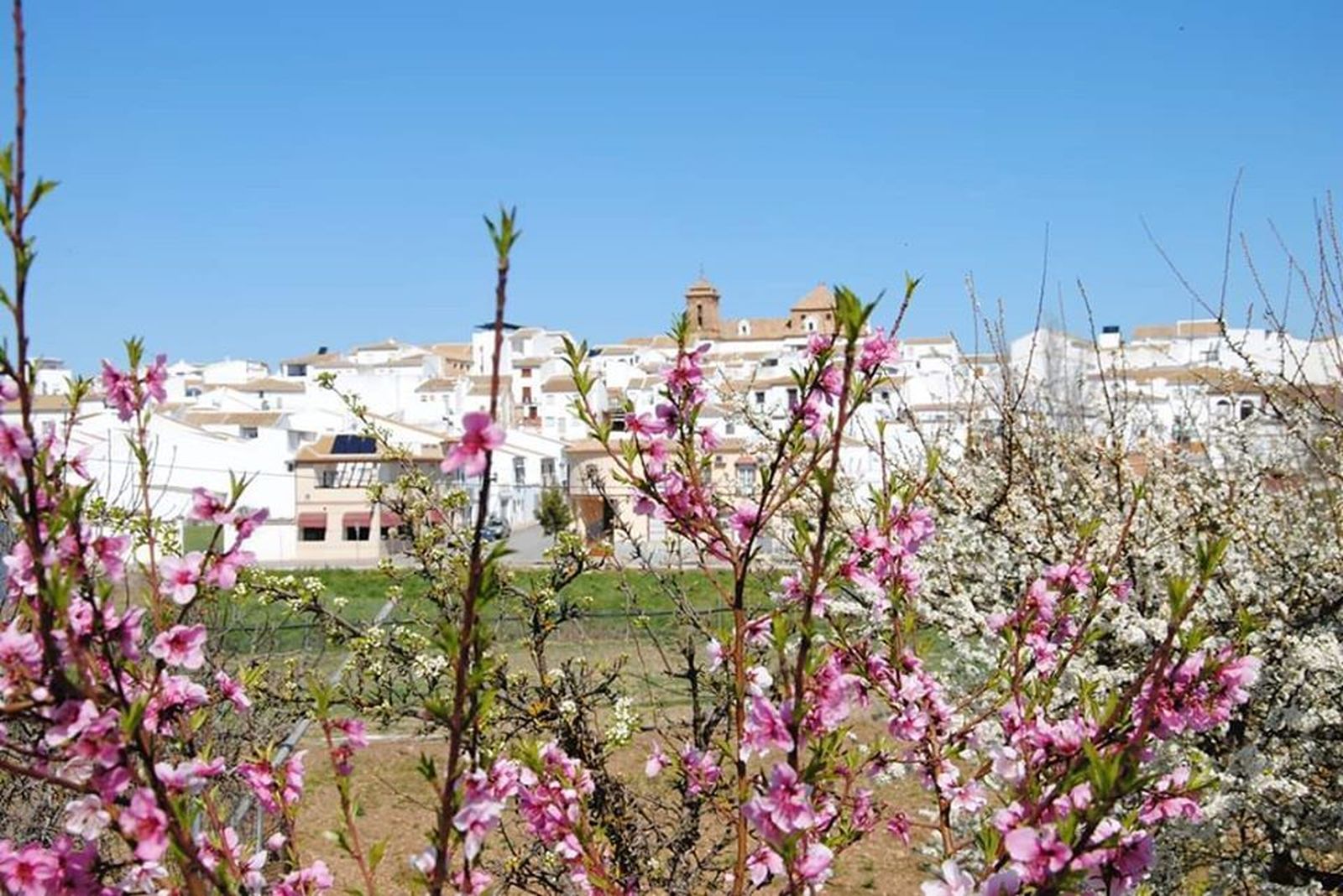 Panorámica de Palenciana.