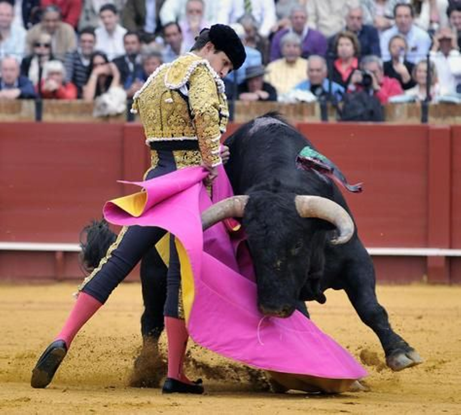 El Juli, frente al primero de la tarde.

Foto: Juan Carlos Muñoz