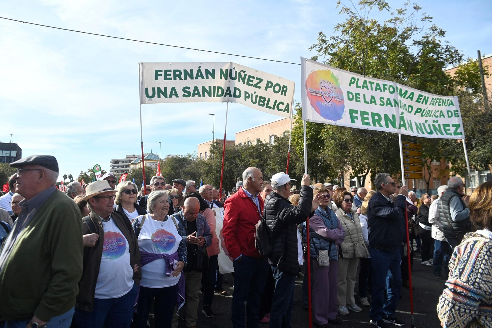 La manifestación en defensa de la sanidad pública en Córdoba