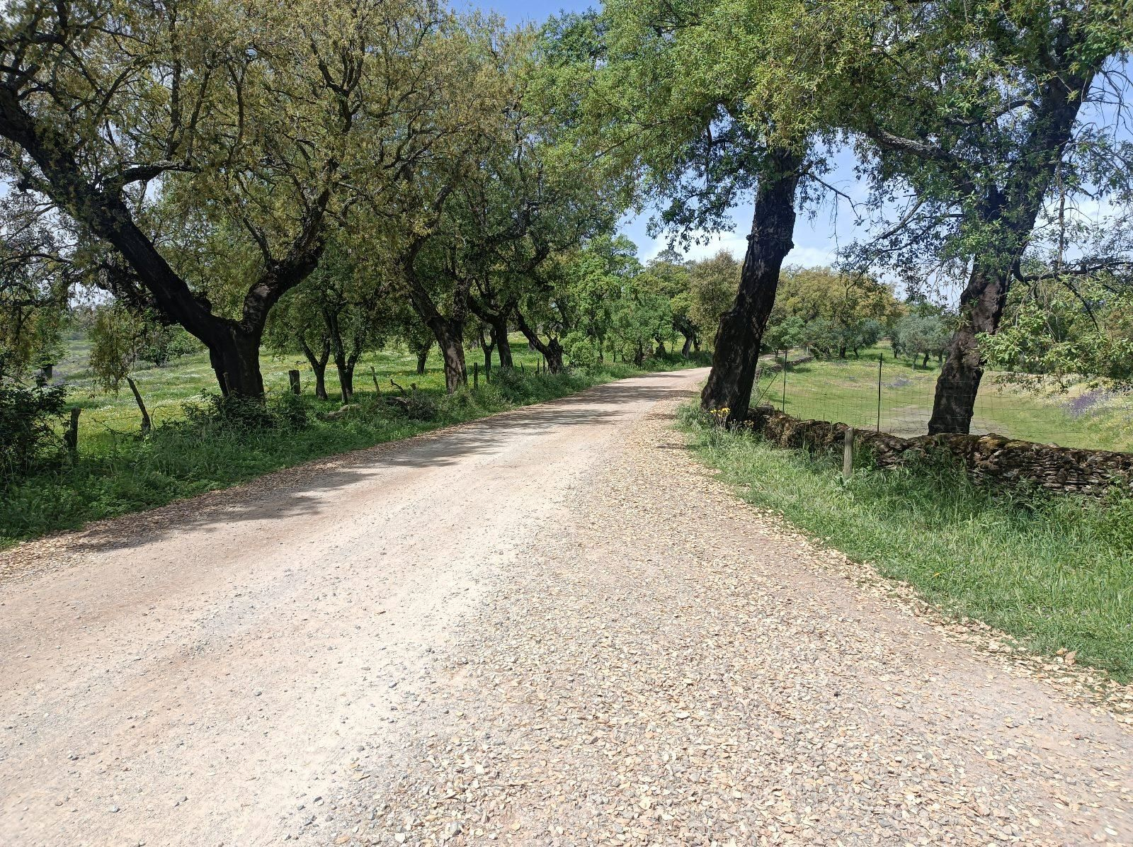 Las fotos de la ruta circular entre Aracena y Corteconcepción