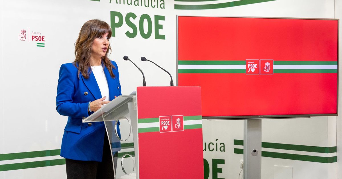 El PSOE pide “altura de miras” al Partido Popular para la acogida de ...