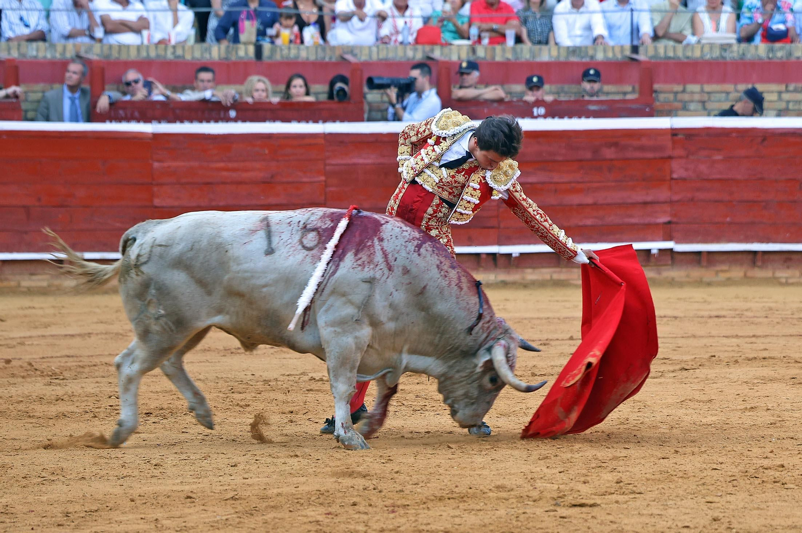 Toros La Merced: Imágenes de la corrida de David de Miranda, Roca Rey y Manzanare