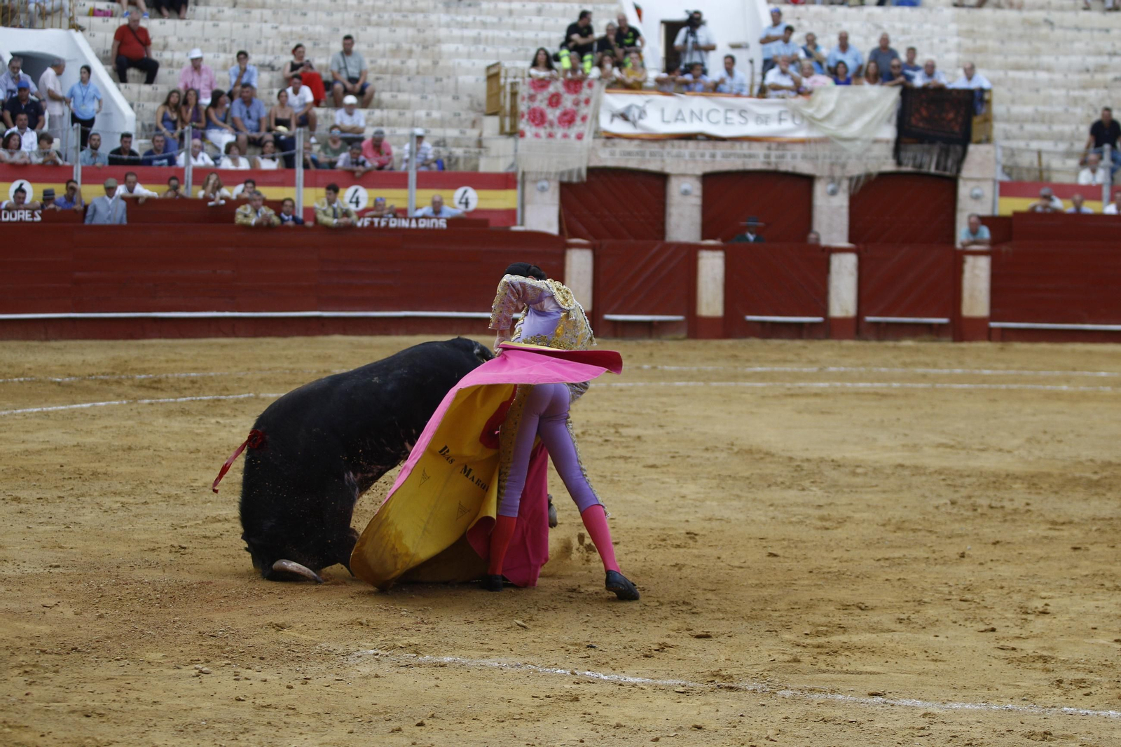 Imágenes de la novillada de la Feria de Almería 2025