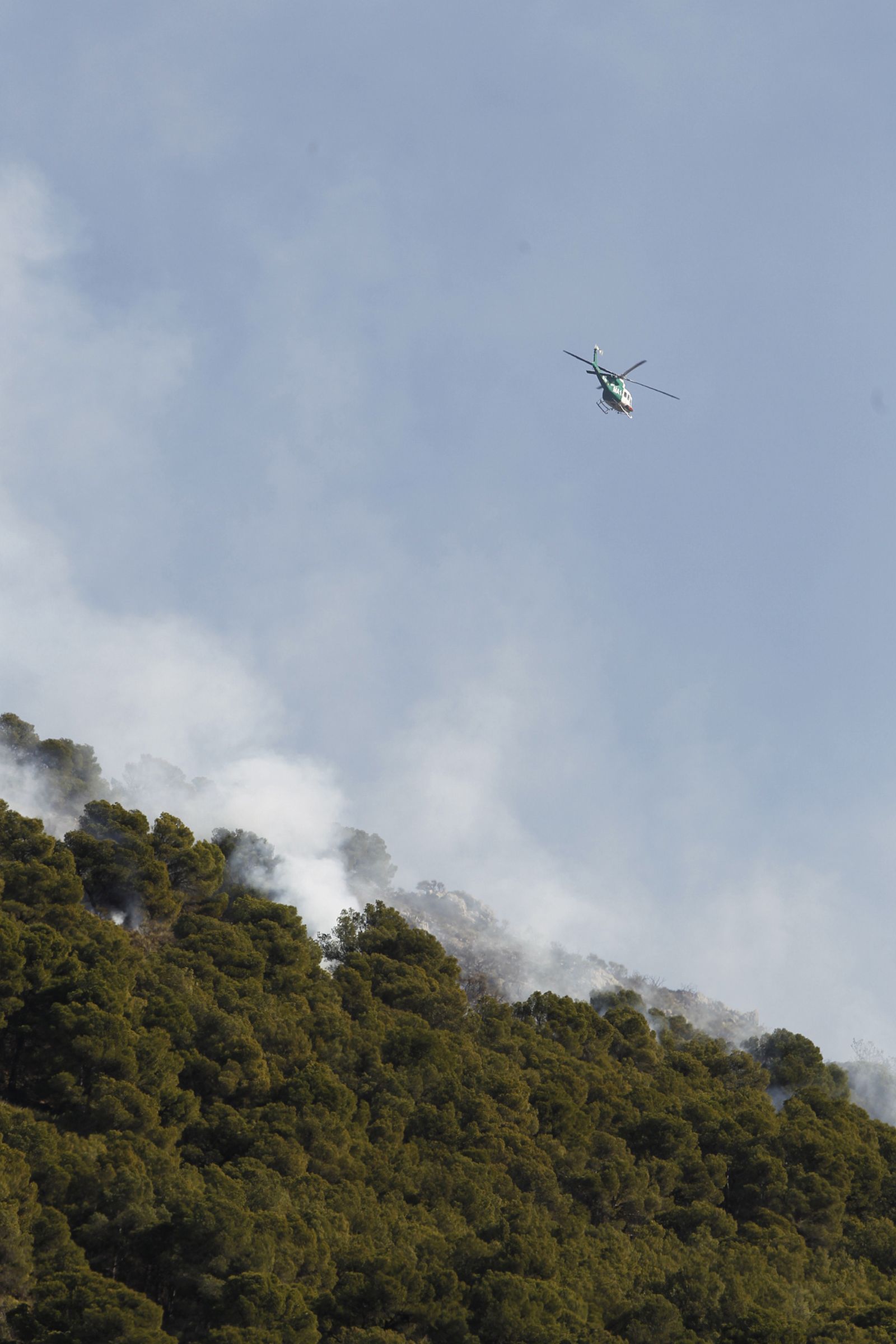 Fotogalería incendio forestal de Castala, Berja y Dalías.