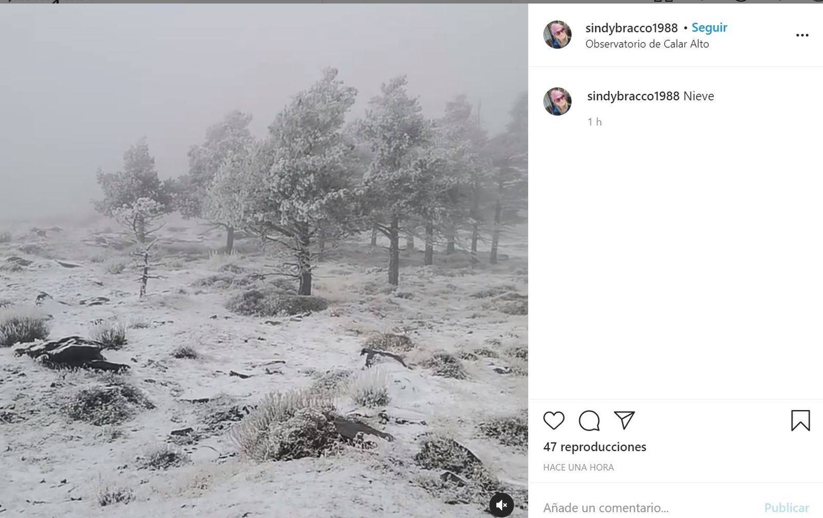 Imágenes de la nieve en Calar Alto este miércoles compartidas en Instagram.