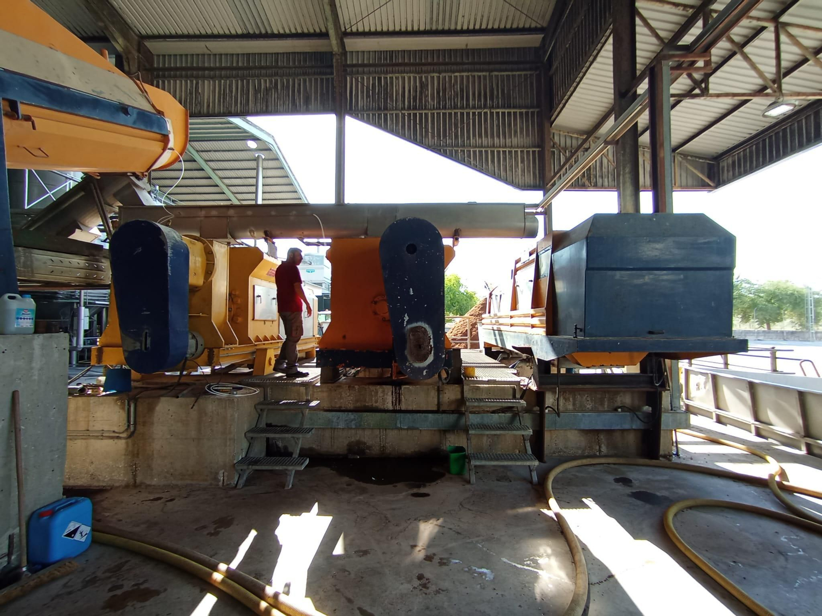 La vendimia de Montilla-Moriles