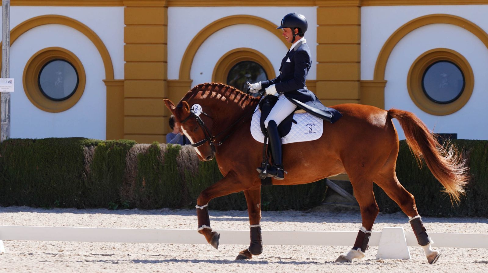 Concurso de Doma Clásica internacional en la Real escuela de Jerez