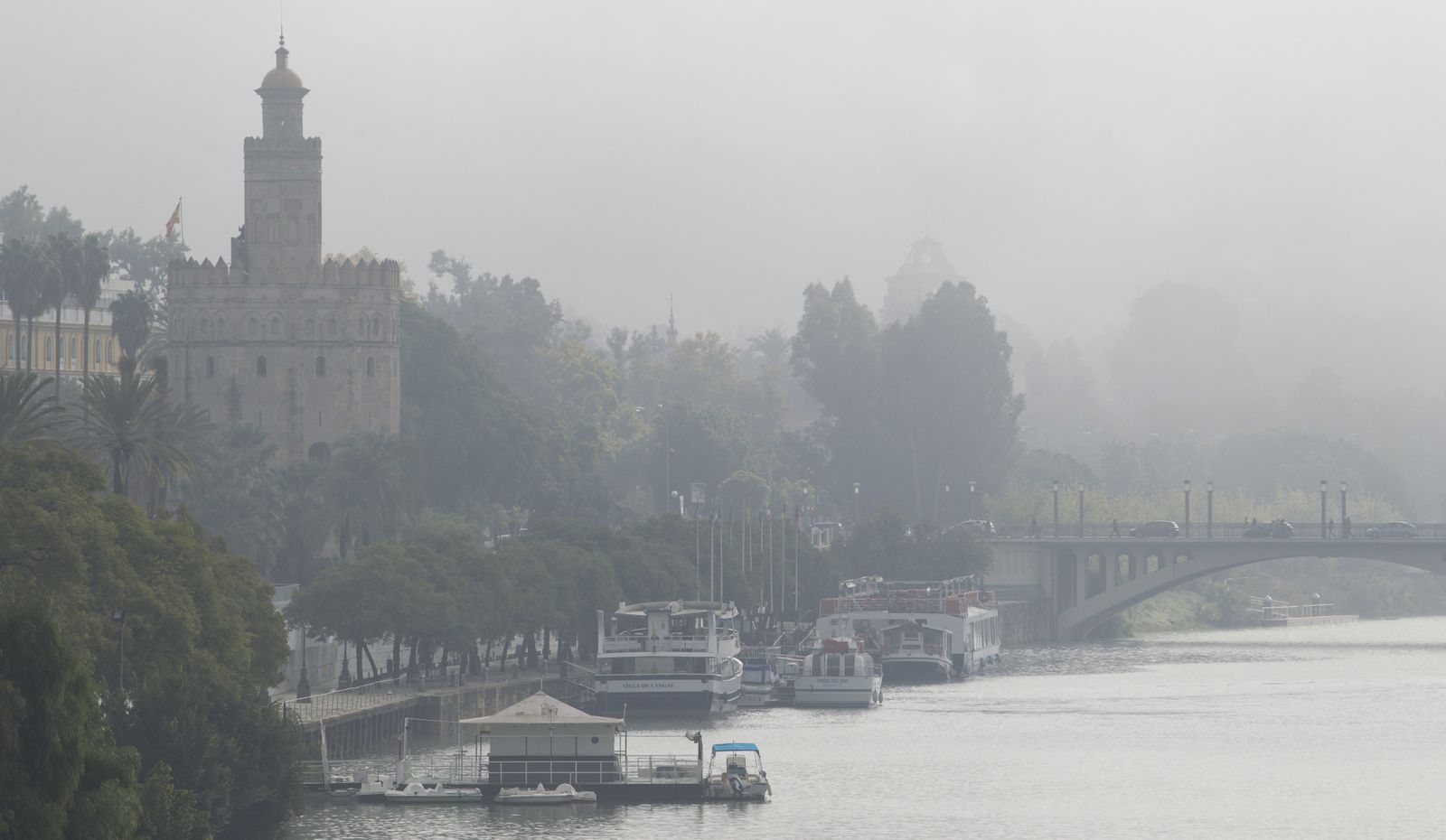 Mañana con niebla en Sevilla