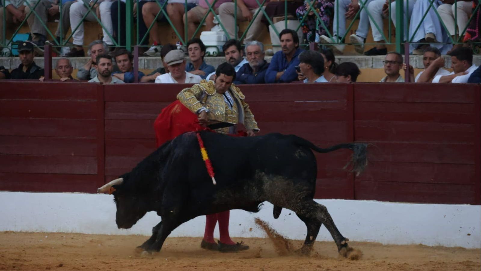 Molinetes, adornos y prodigios de Morante en La Línea durante la lidia del cuarto. Molinetes, adornos y prodigios de Morante en La Línea durante la lidia del cuarto.