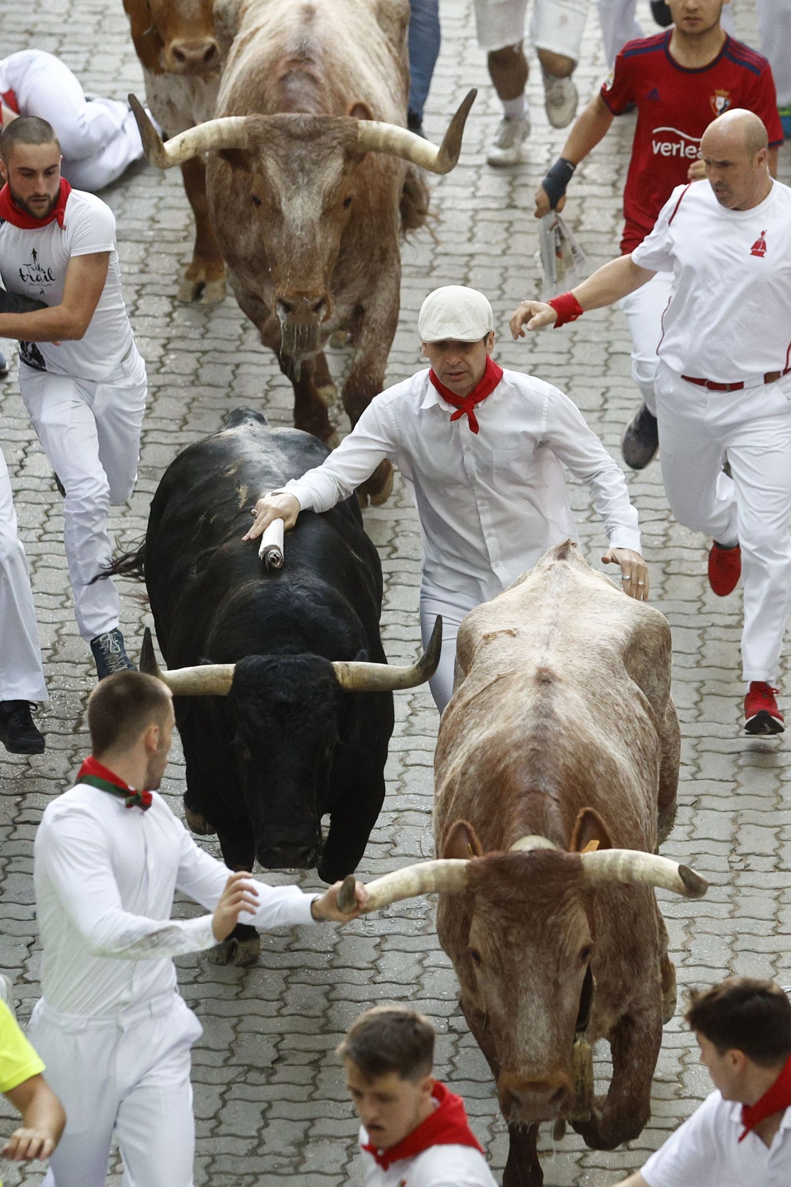 Las imágenes de los toros de Jandilla en los sanfermines