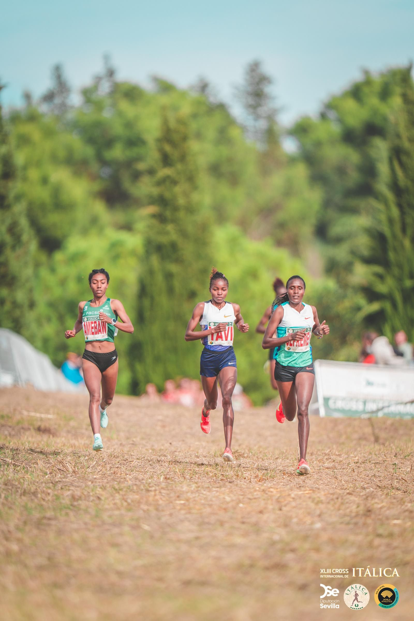 Búscate en las fotos del Cross de Itálica 2025 | 11