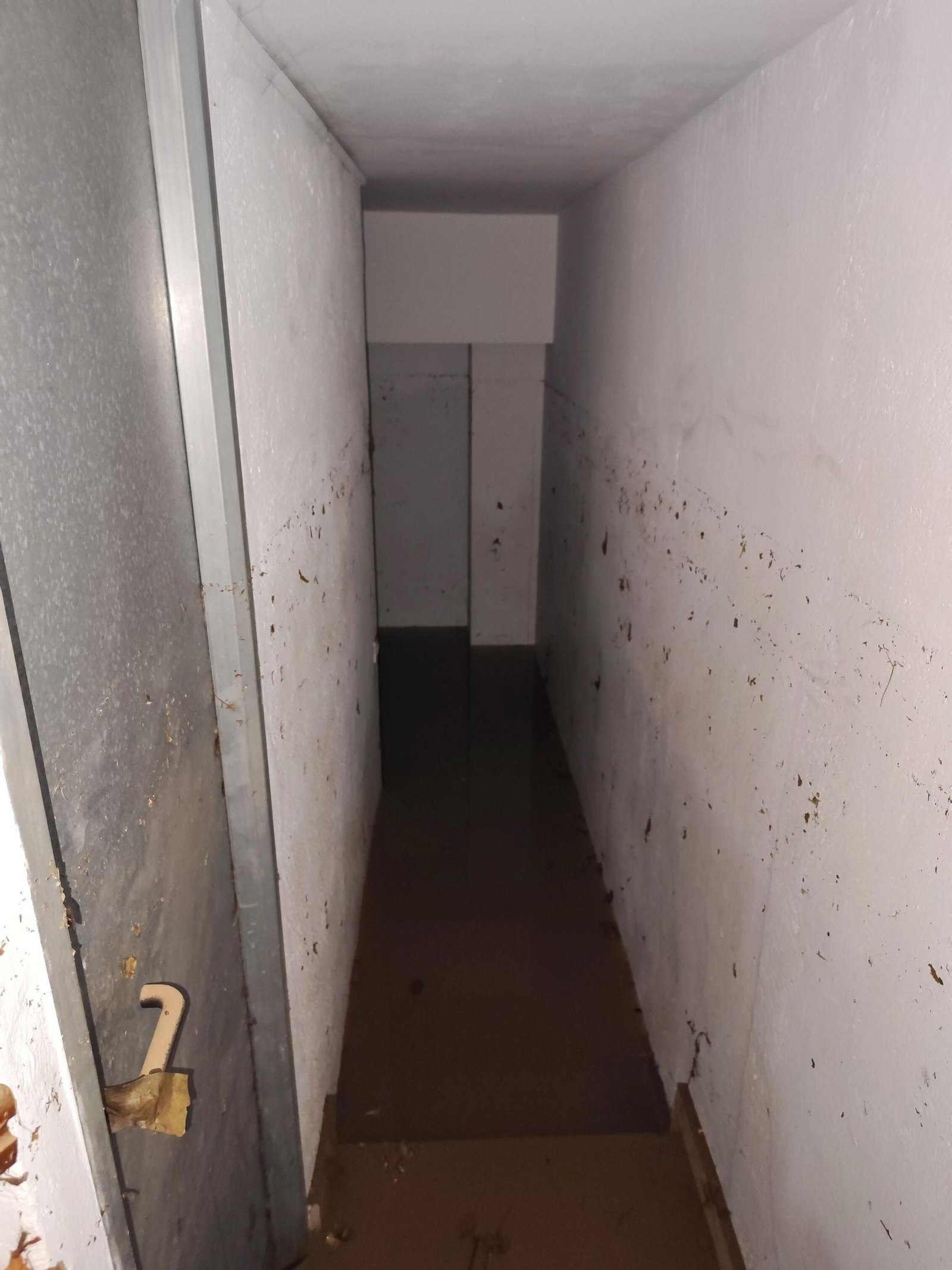 El rastro que deja la borrasca Claudia en Córdoba: anegaciones, árboles caídos y destrozos