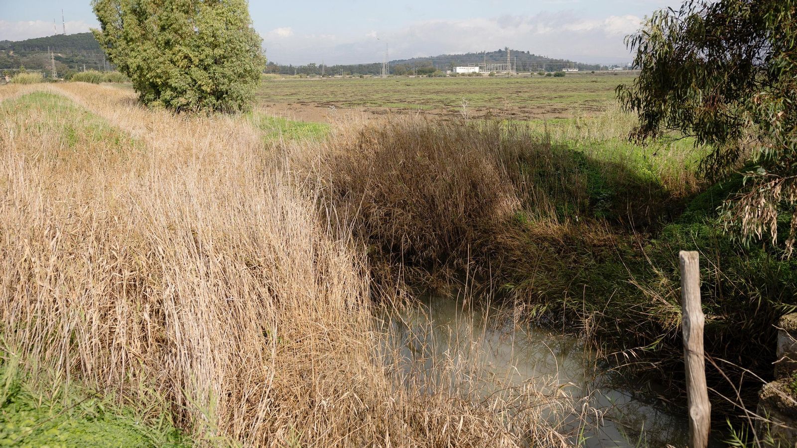 Una imagen del Arroyo Carrillo, cuya falta de dragado y mantenimiento preocupa en Doña Blanca. Una imagen del Arroyo Carrillo, cuya falta de dragado y mantenimiento preocupa en Doña Blanca.