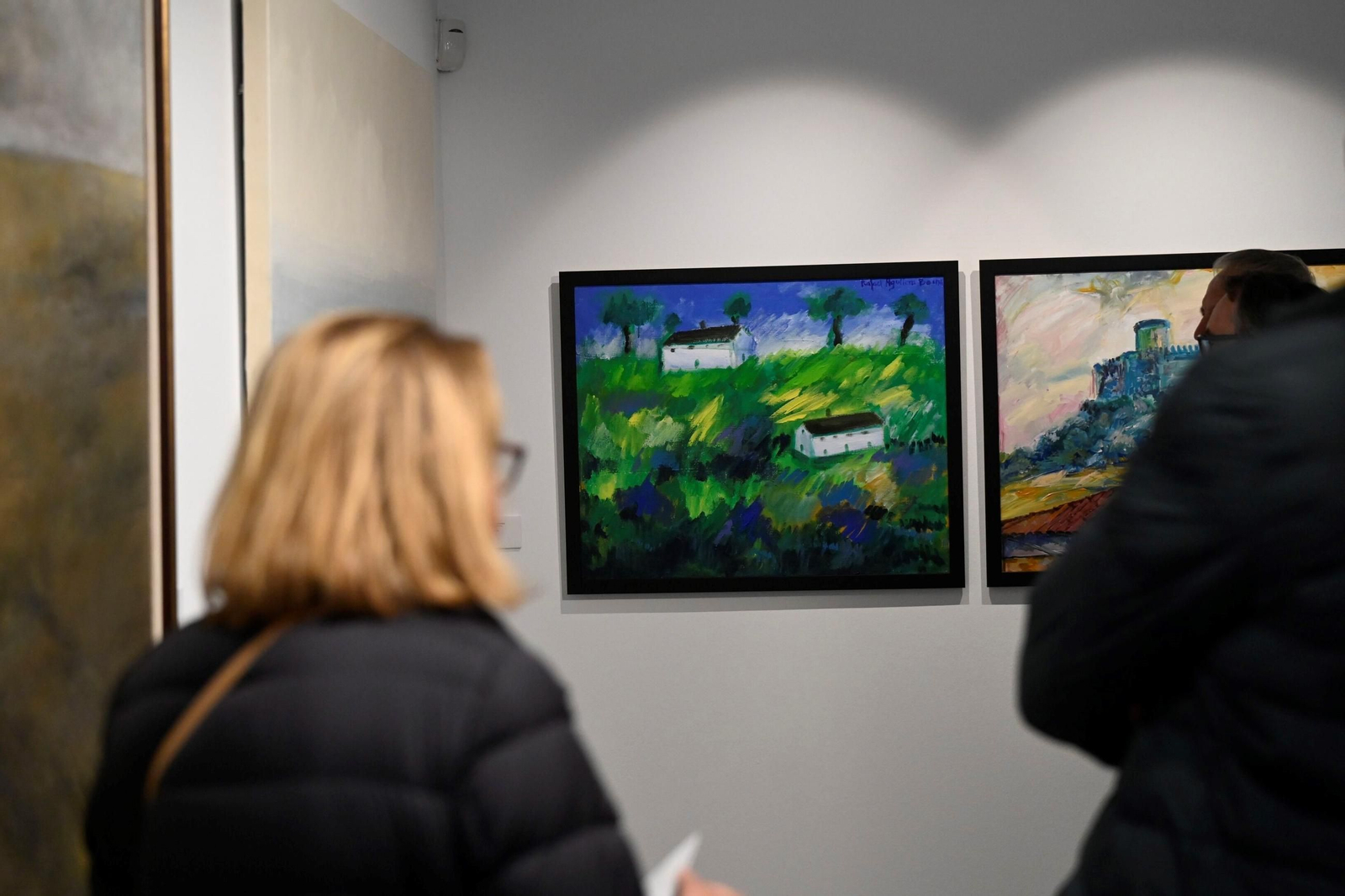 Un paseo en imágenes por la exposición 'Arde el día' del Centro de Arte Rafael Botí de Córdoba