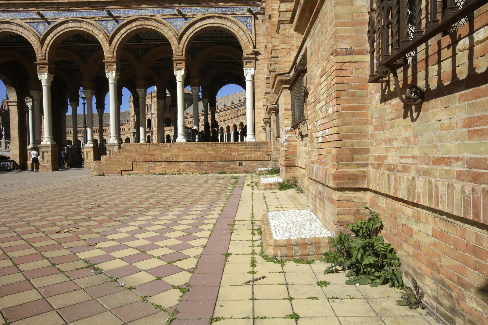 Mal estado de los arriates y plantas en la Plaza de España