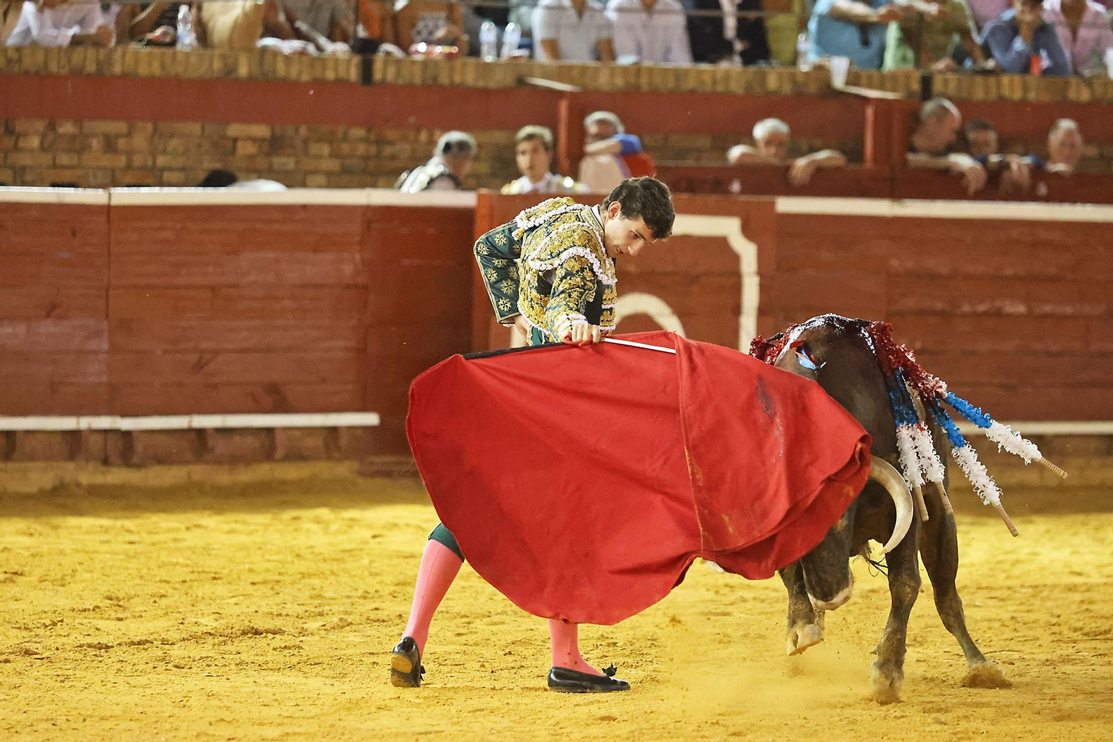 Toros La Merced 2024 Novillada con picadores(