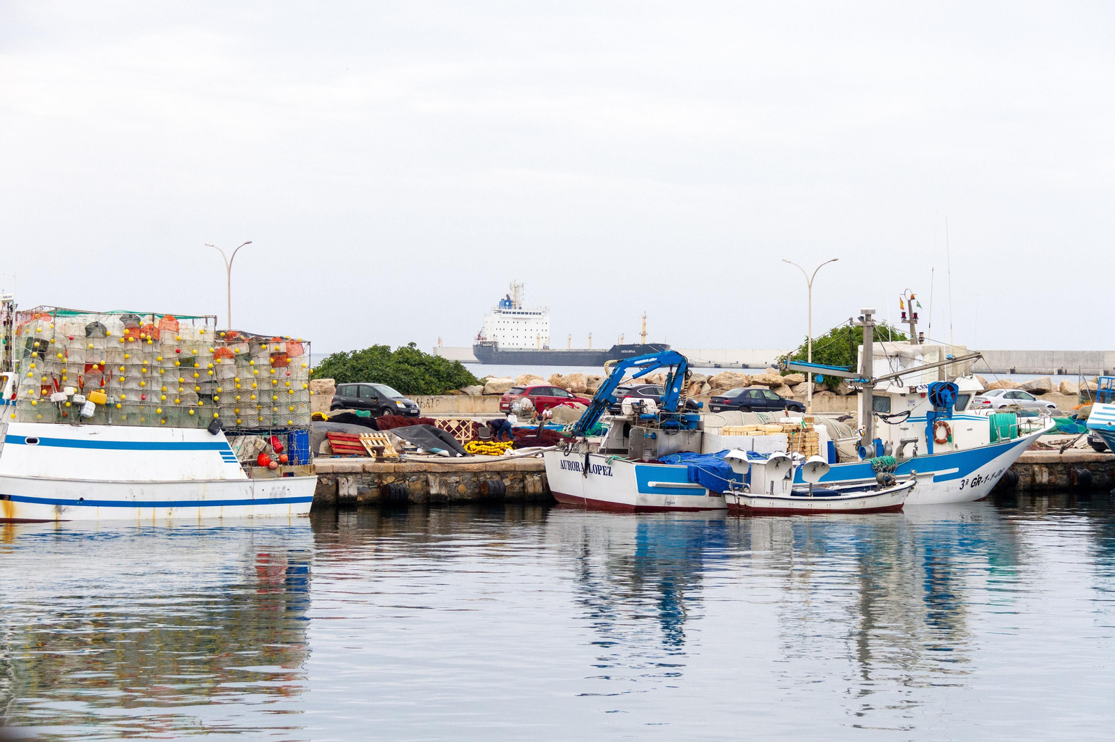 La Junta de Andalucía concede las primeras subvenciones a pescadores afectados por el alga asiática
