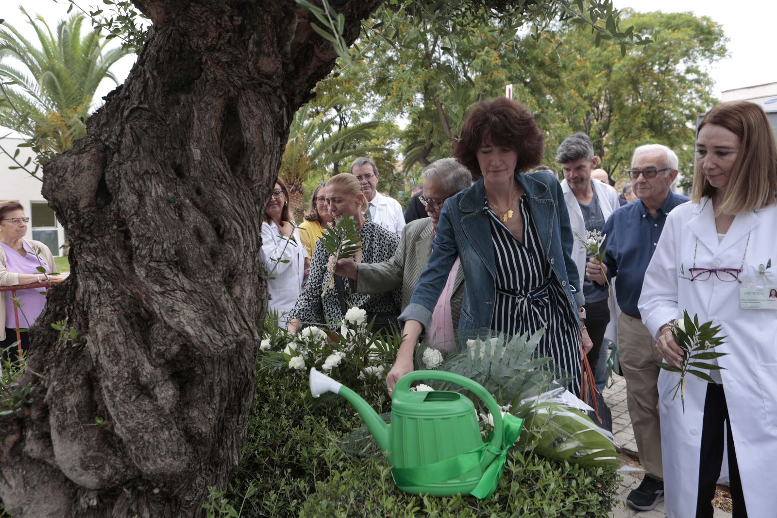 Día Nacional del Donante de órganos