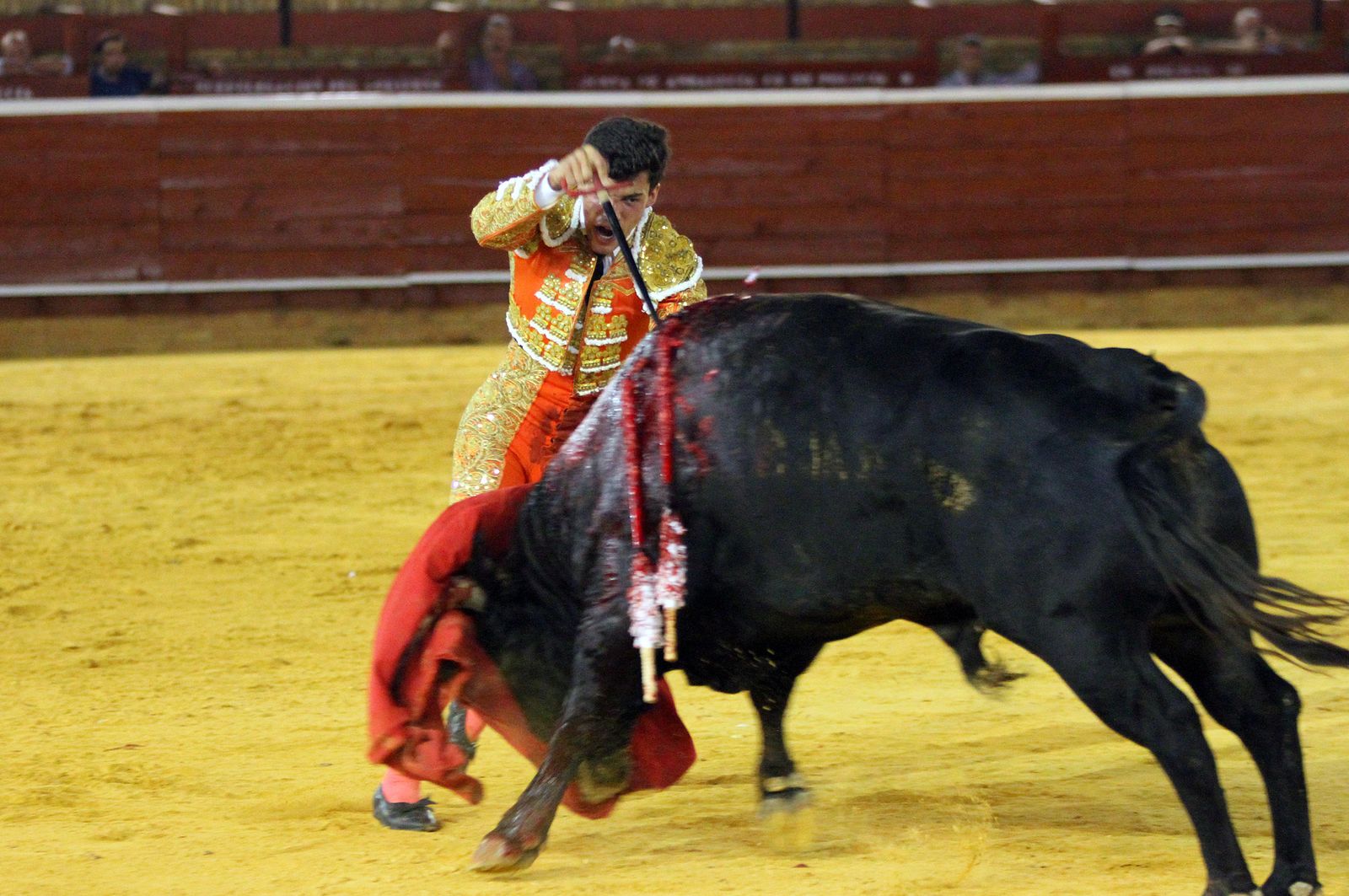 Imágenes de la Novillada de Rafael Serna, Emilio Silvera y Rodrigo Molina.