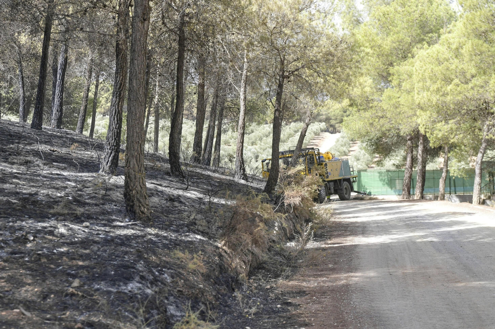 Las imágenes del incendio de Granada que causa terror en la provincia