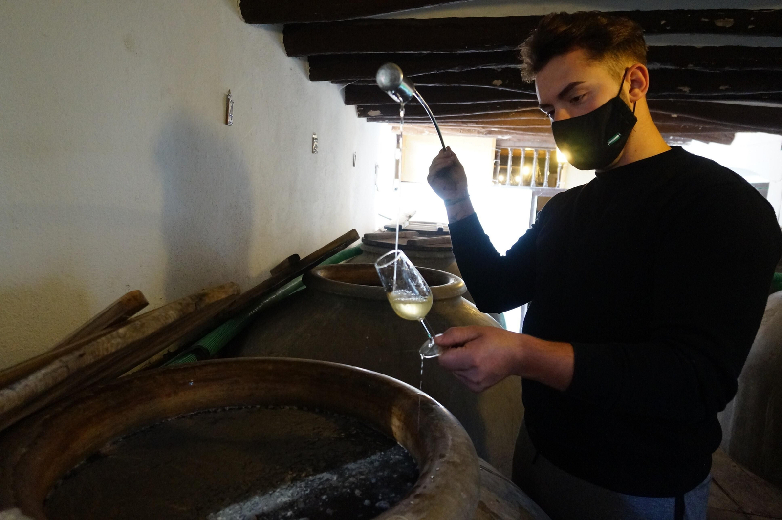 El primer vino del año en el histórico Lagar de Casablanca, Moriles.