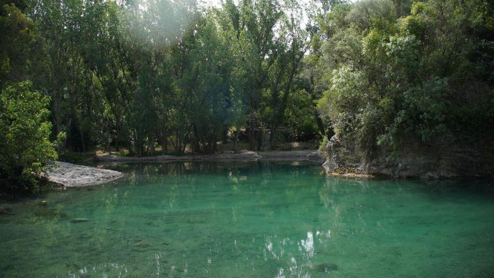 Otra visión de la charca.