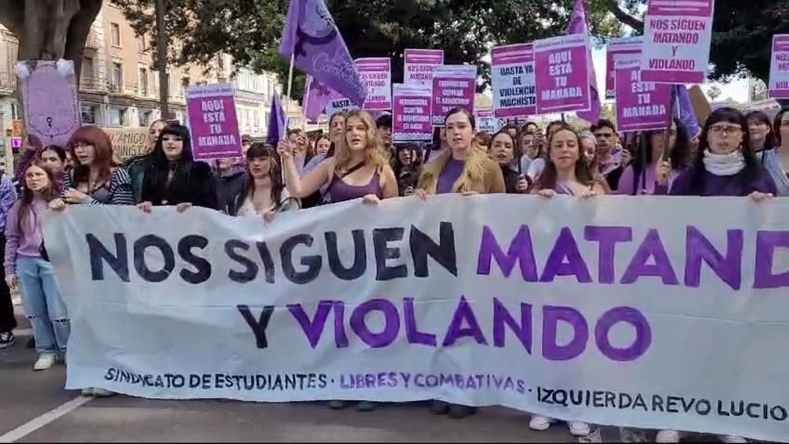El grito "de las que ya no están" de estudiantes feministas en Málaga contra la violencia machista