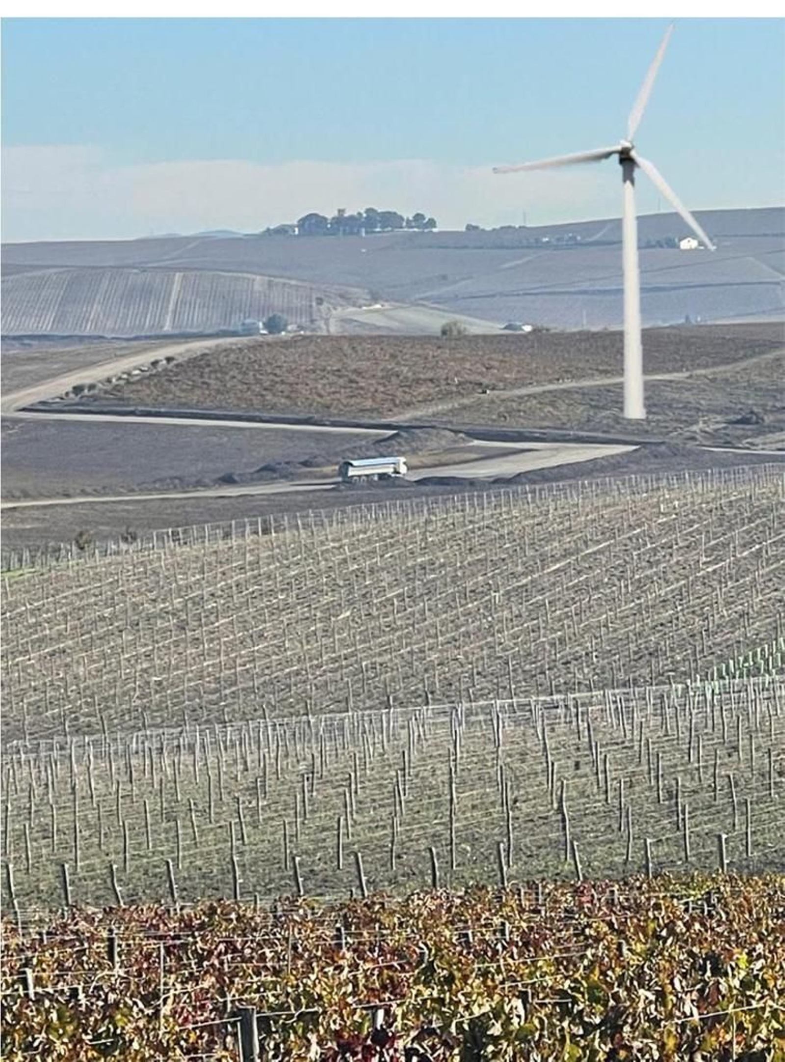 Simulación del mismo paraje de Macharnudo que evidencia el impacto visual de los aerogeneradores. Simulación del mismo paraje de Macharnudo que evidencia el impacto visual de los aerogeneradores.