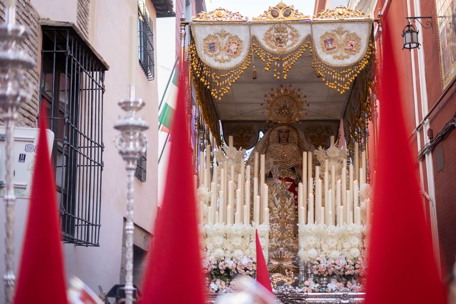 Crónica gráfica del Domingo de Ramos en Granada