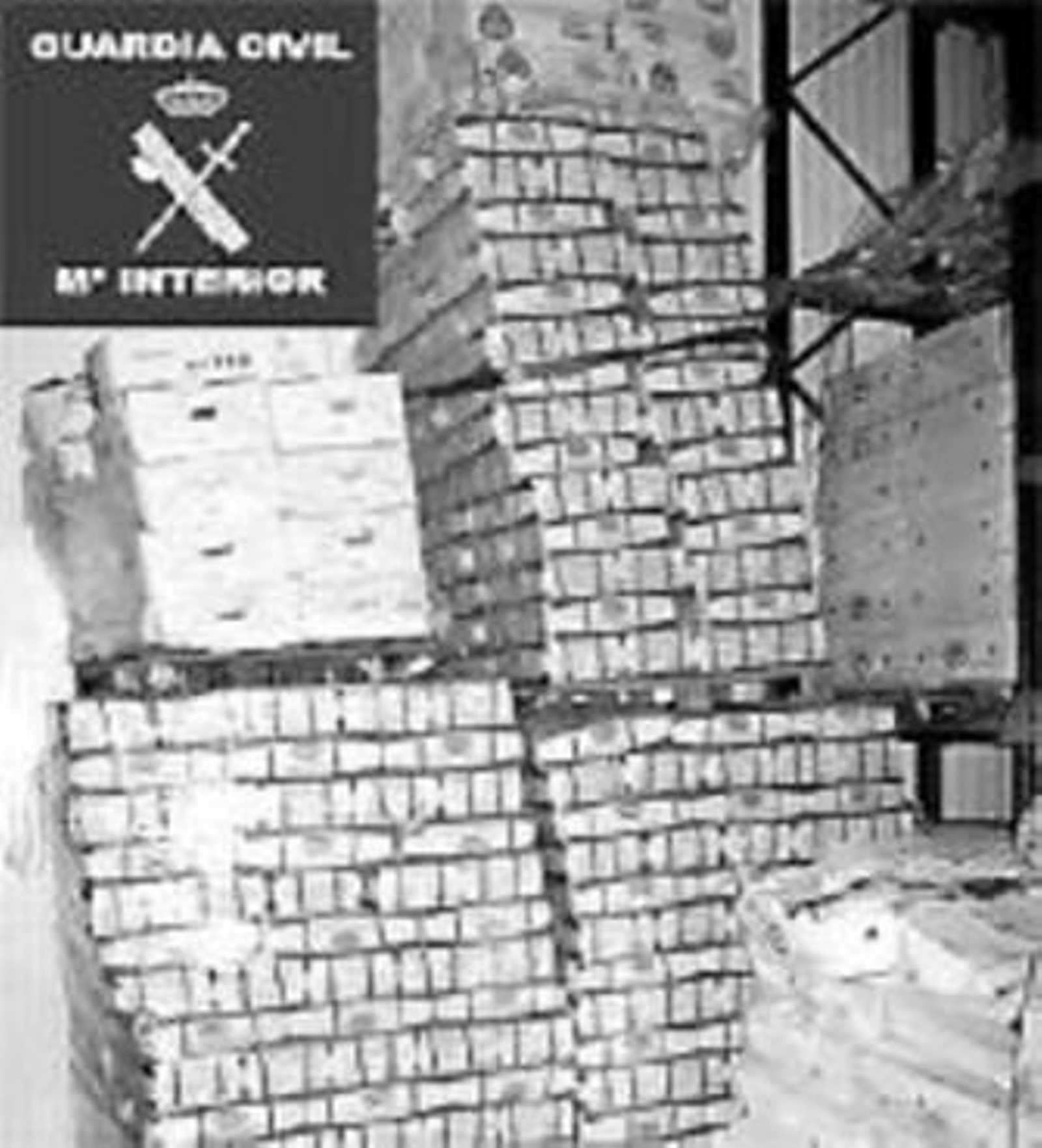 Pescado incautado en El Viso.