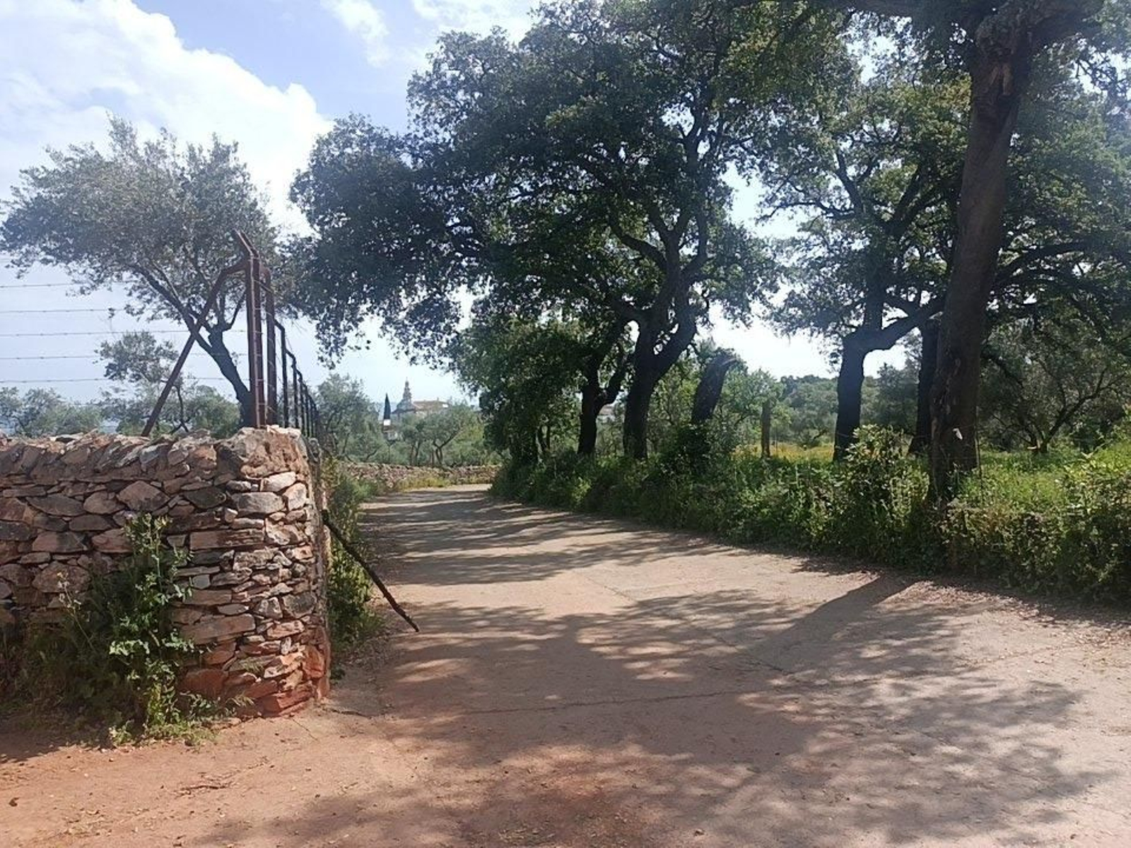 Las fotos de la ruta circular entre Aracena y Corteconcepción