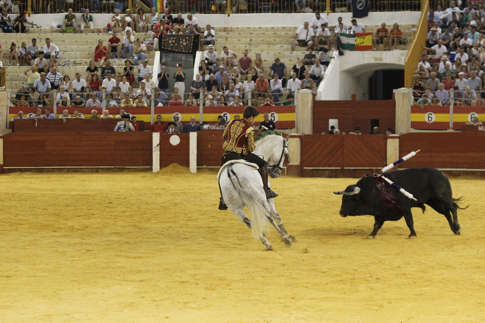 Fotogalería corrida de rejones. Feria de Almería 2019