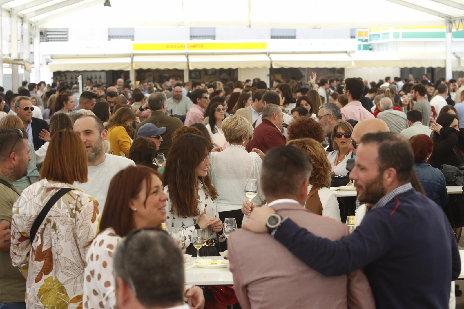 El último día de la Cata del Vino de Córdoba, en imágenes