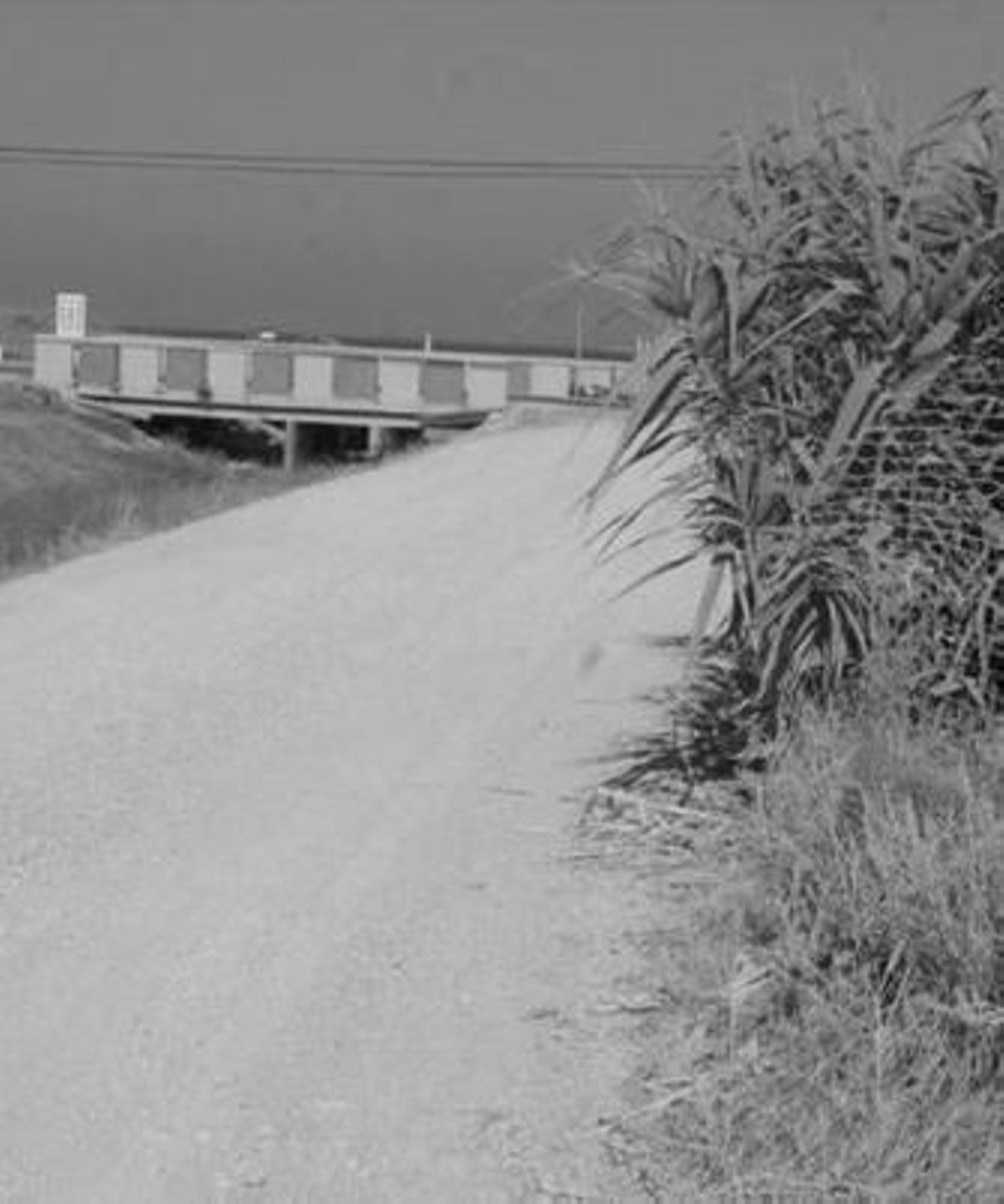 Imagen de uno de los caminos del Zabal.