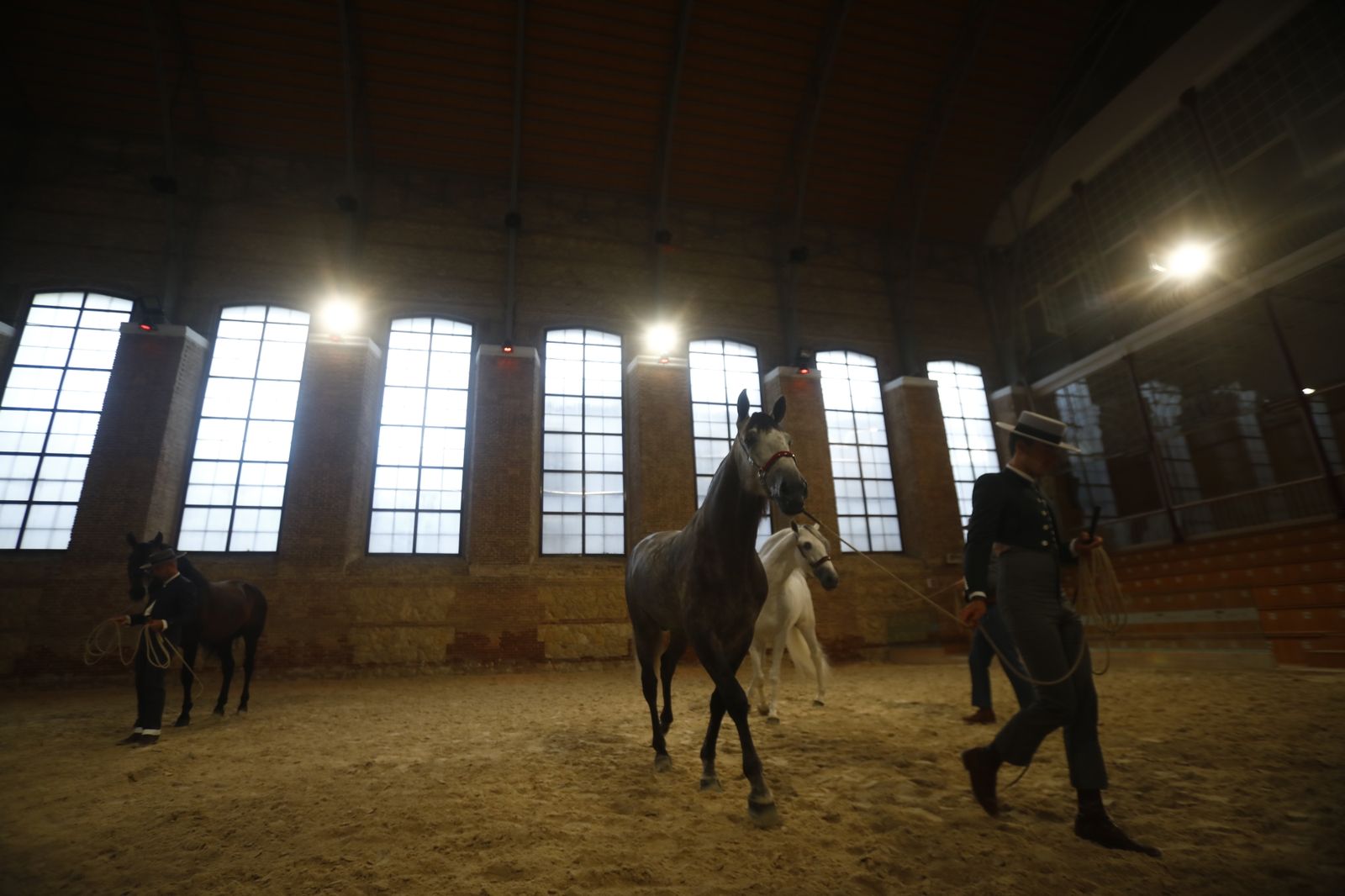 El concurso morfológico de caballos de pura raza de Cabalcor, en fotografías