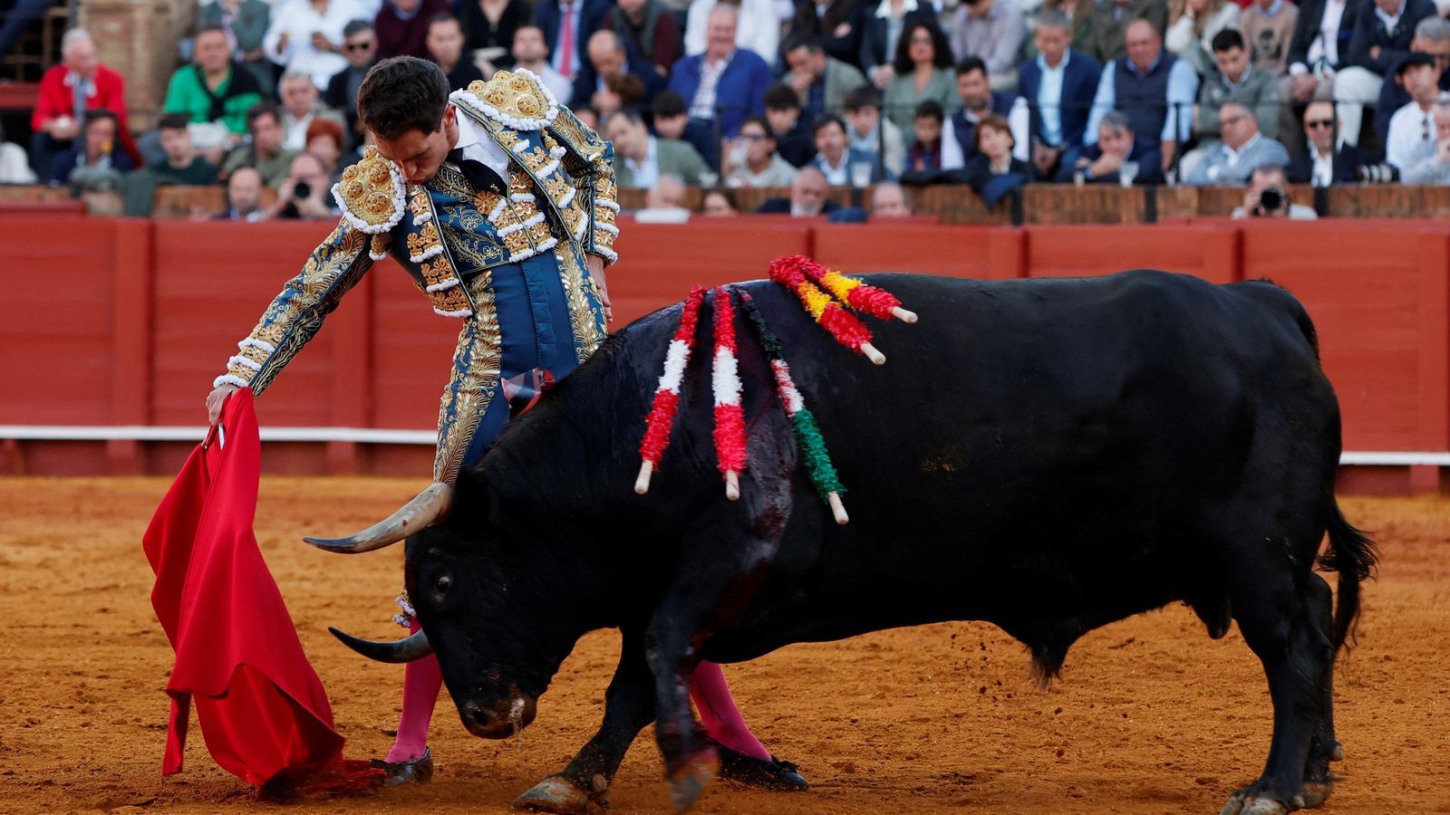 Ginés Marín intenta que ‘Pianero’, que embiste al paso, se vaya tras los vuelos de la muleta.