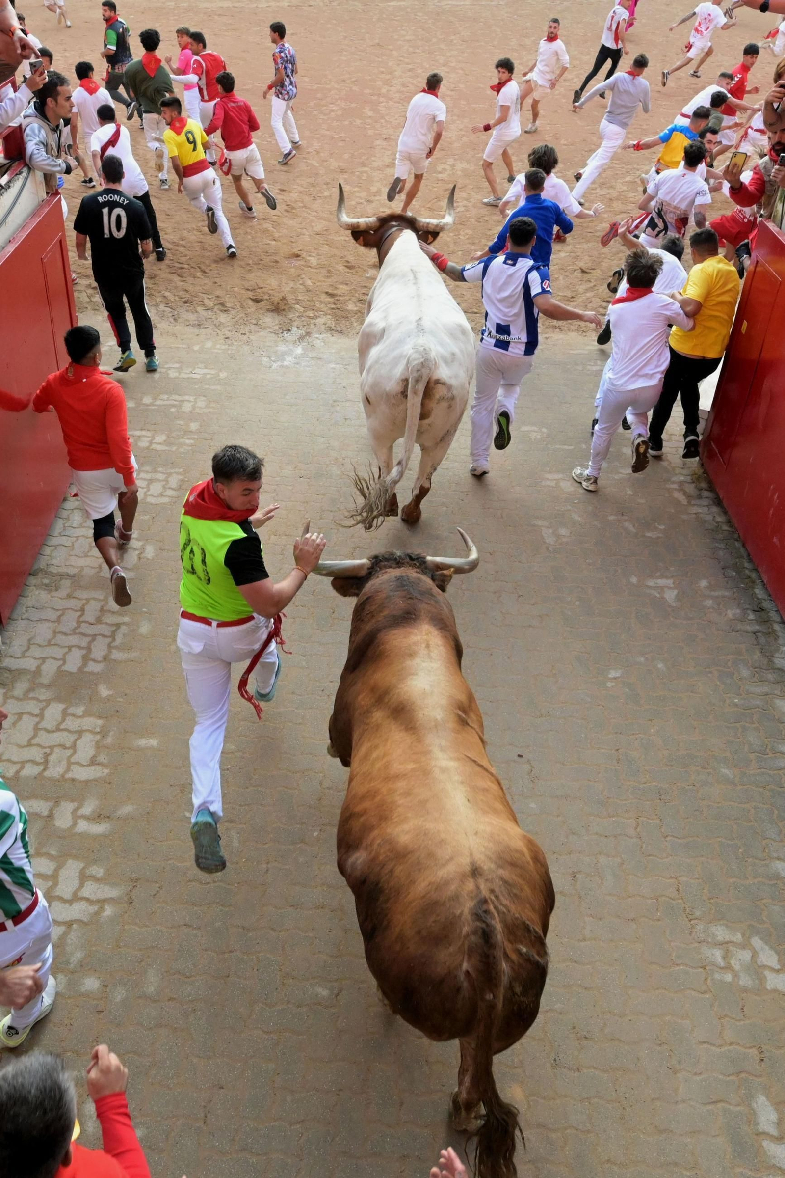 La bravura de Tarifa se hace notar en Pamplona: tres heridos en un encierro con toros de La Palmosilla