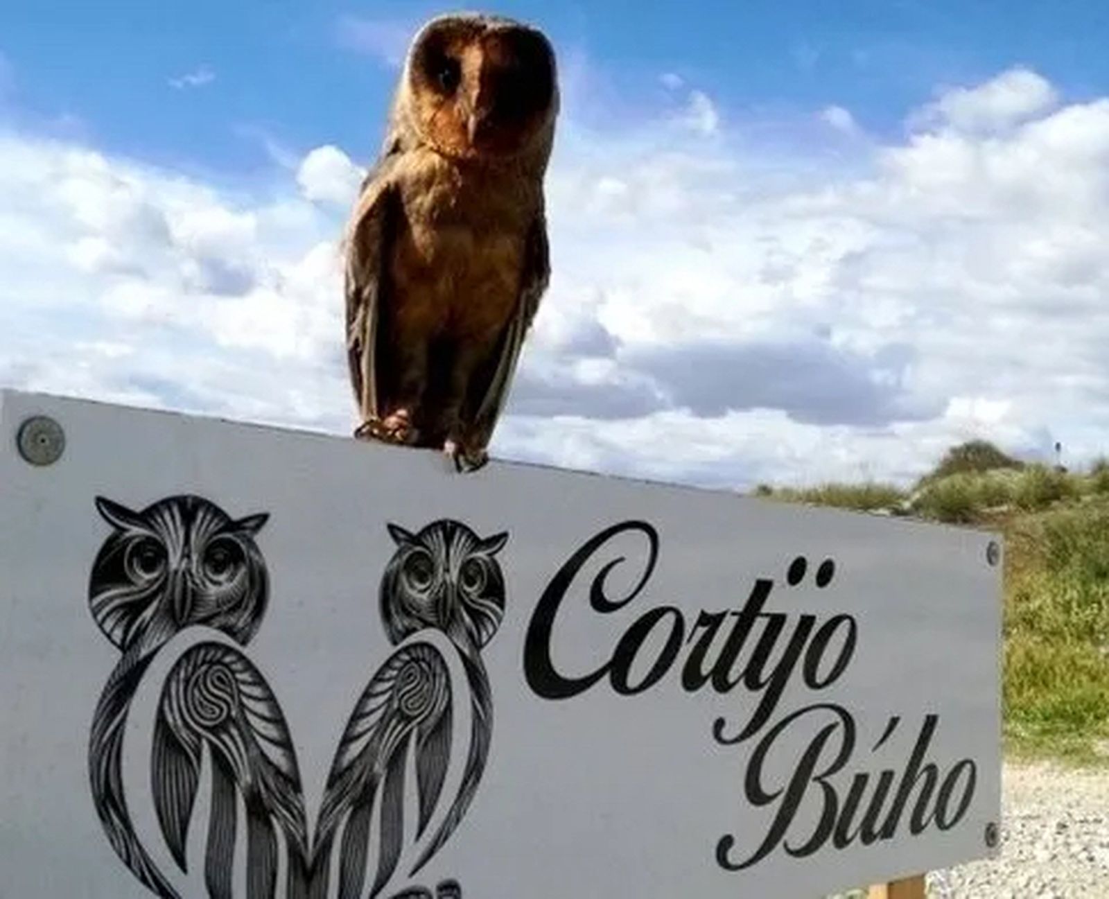 Este cortijo de Granada está lleno de aves magníficas