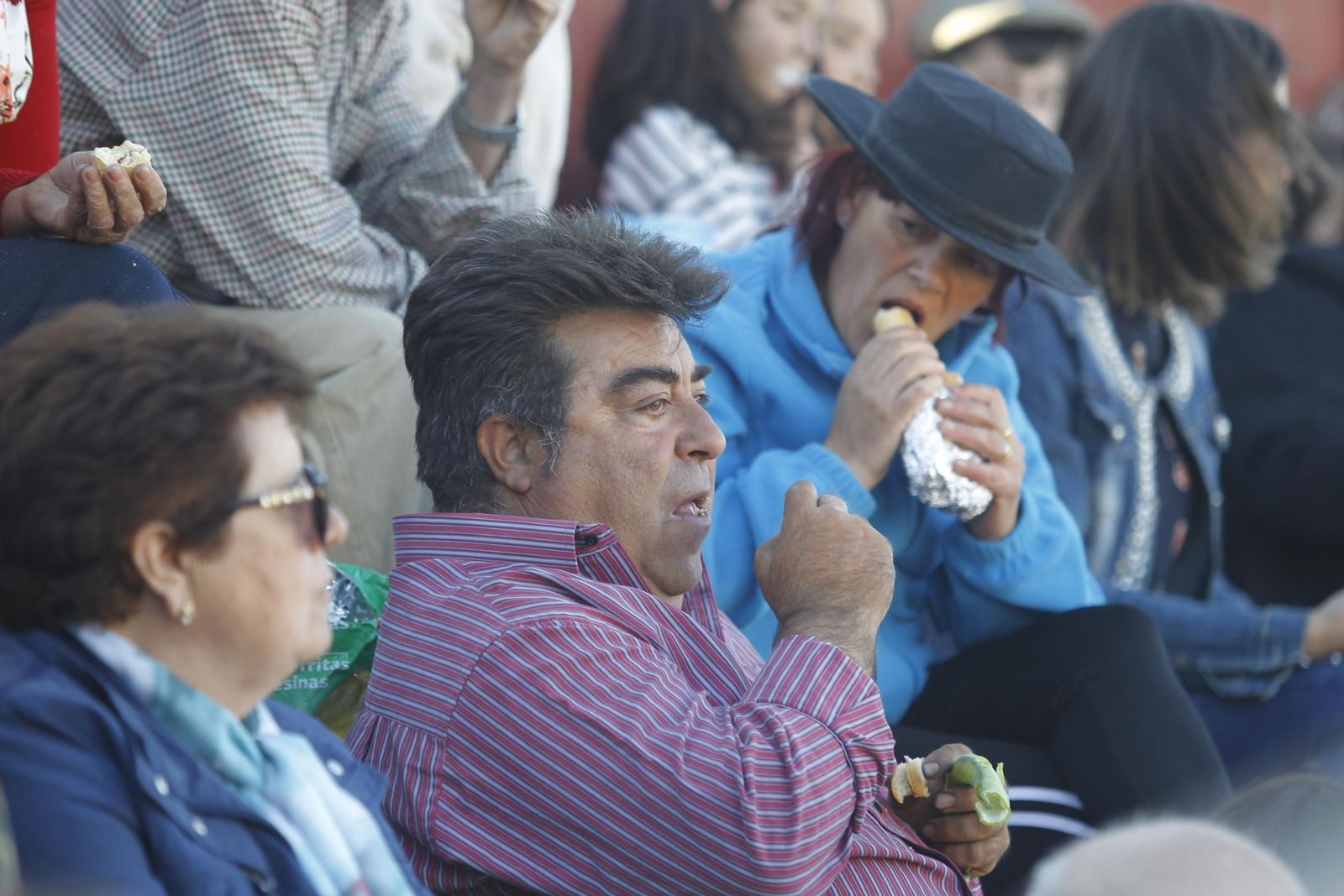 Fotogalería Novillada Fiestas de Abrucena